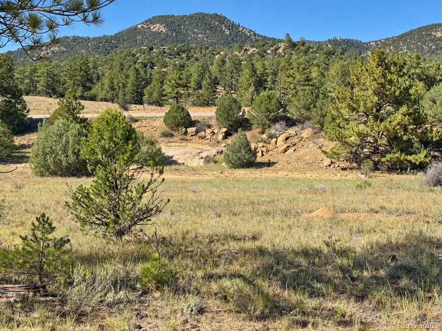 103 Cheyenne Ct, Cotopaxi, CO 81223 - #3