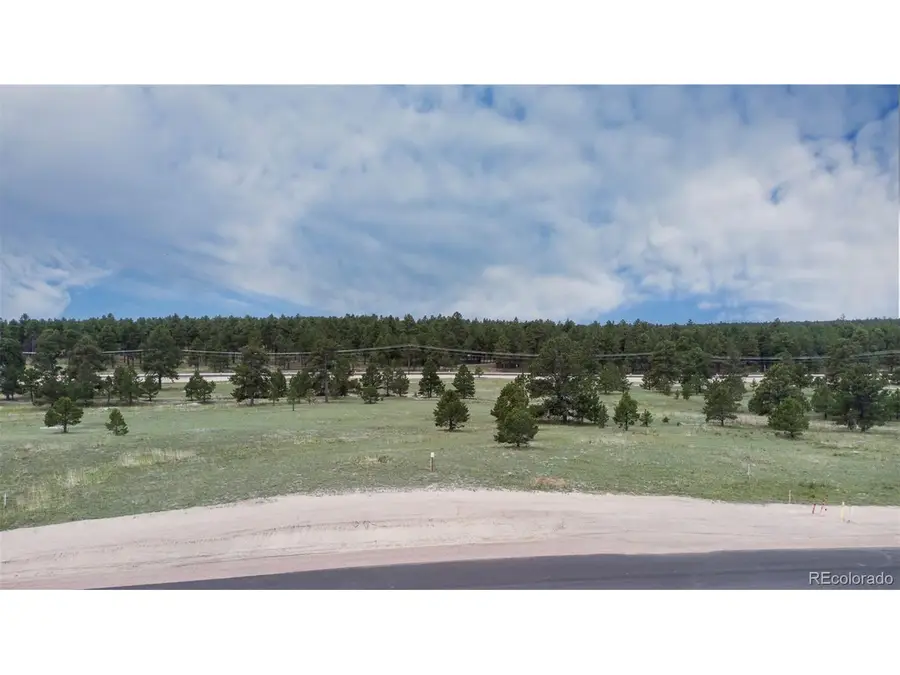 11809 Flap Jack Ln, Colorado Springs, CO 80908 - #2