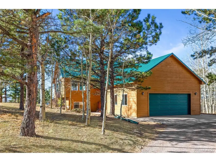 162 Ridge Top Dr, Divide, CO 80814 - #3