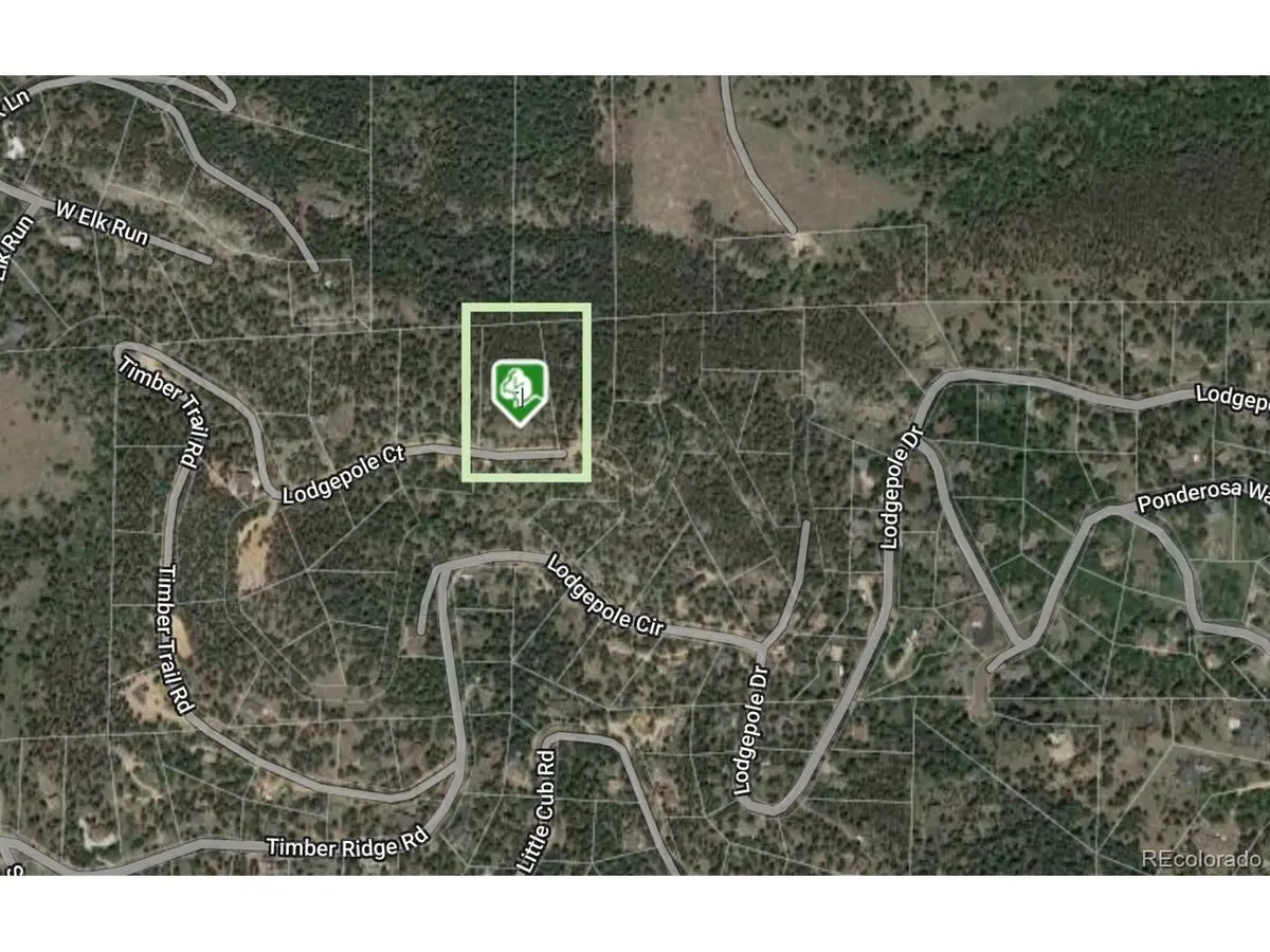 32593 Lodgepole Dr, Evergreen, CO 80439 - #1