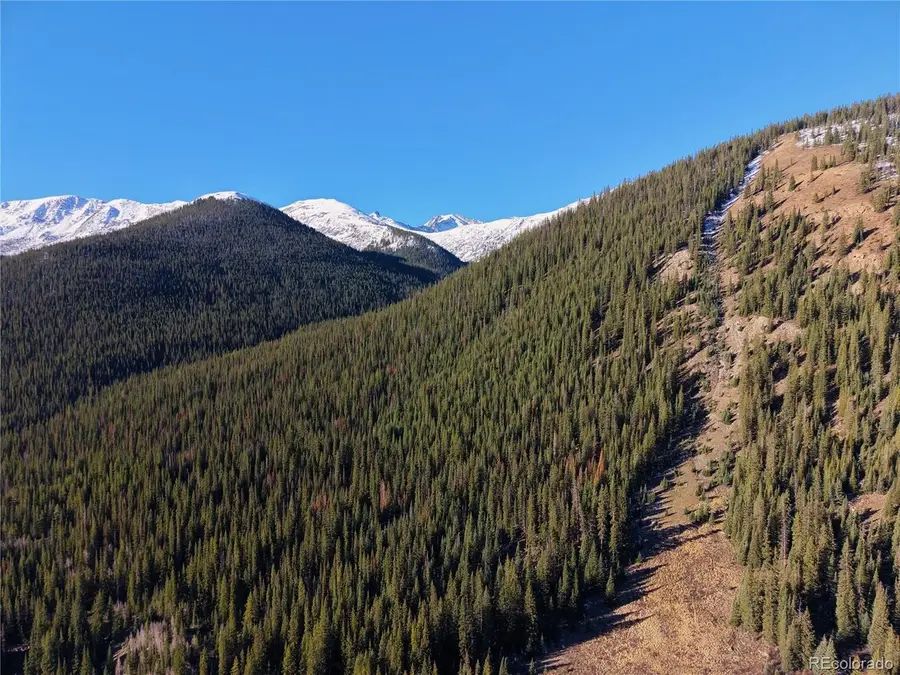 6932 Gold Dr, Leadville, CO 80461 - #2
