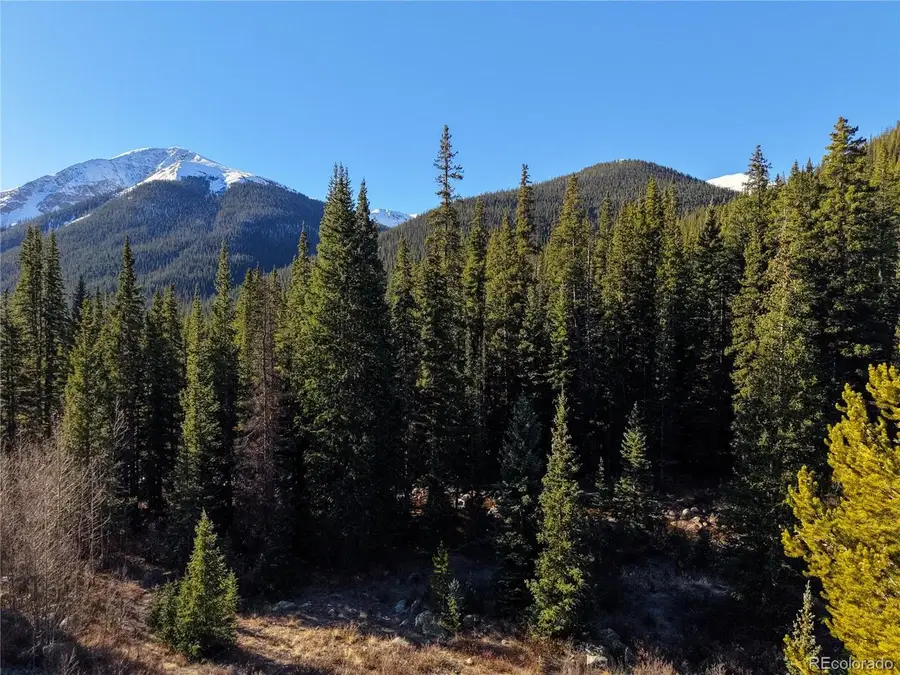 6932 Gold Dr, Leadville, CO 80461 - #3
