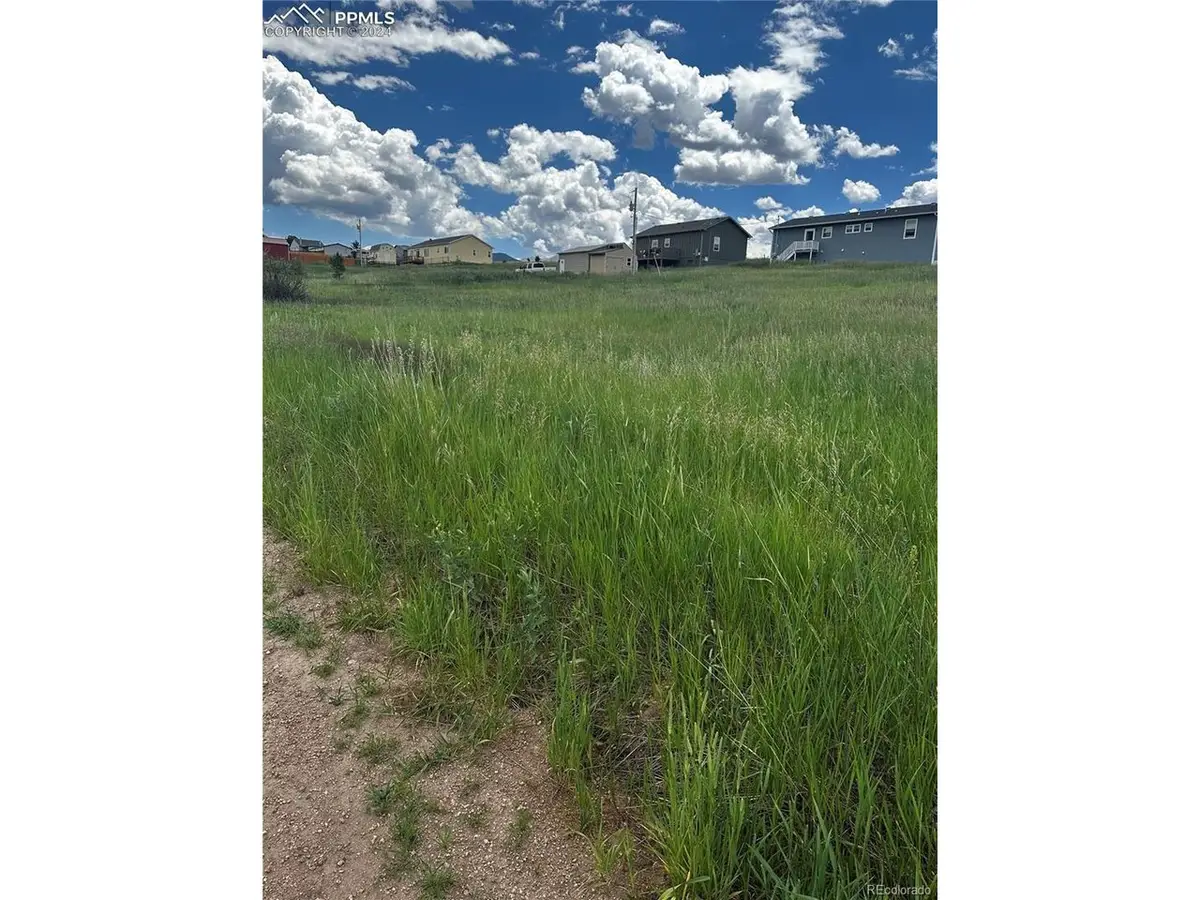 1298 Will Scarlet Dr, Divide, CO 80814 - #1