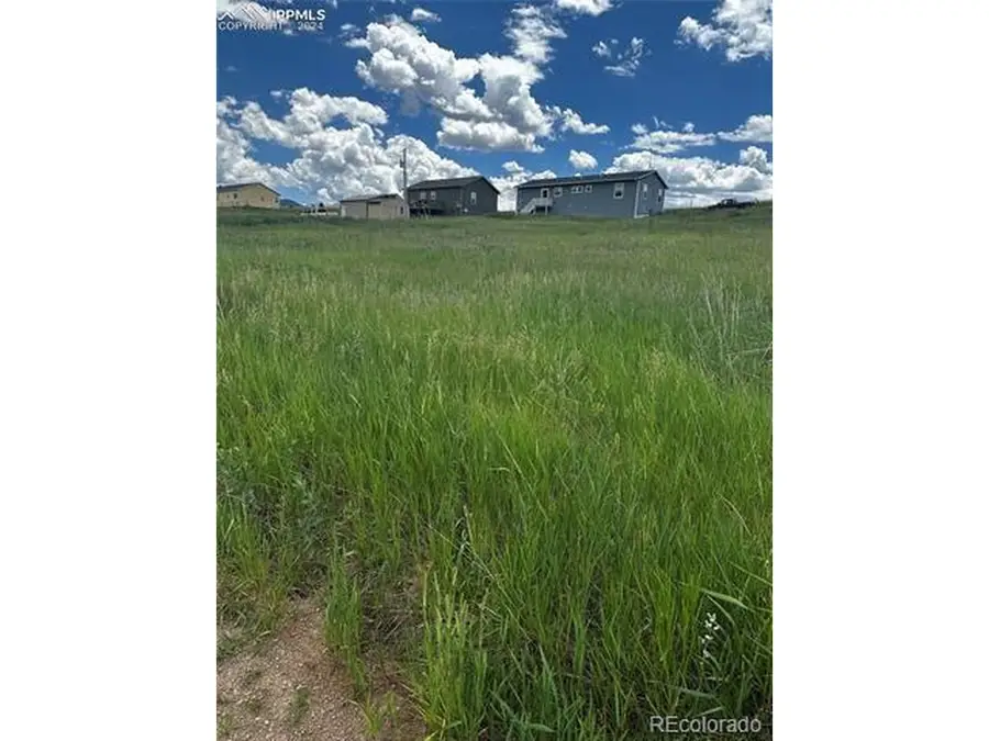 1298 Will Scarlet Dr, Divide, CO 80814 - #2