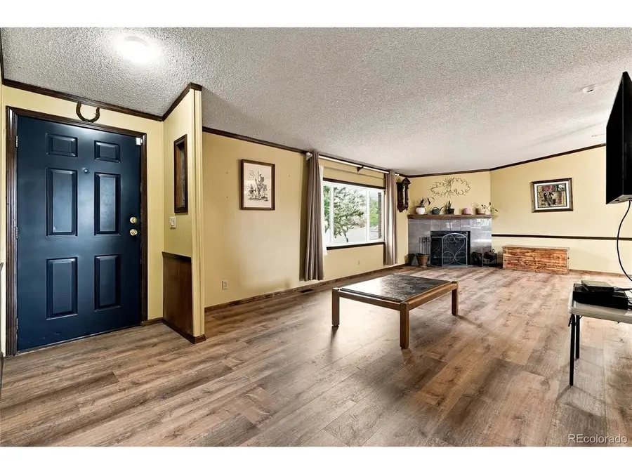 2263 Haskell Way, Watkins, CO 80137 - #3