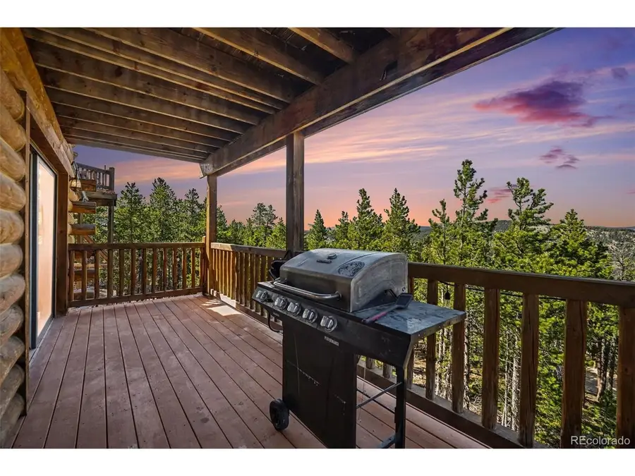 71 Wildewood Dr, Nederland, CO 80466 - #3
