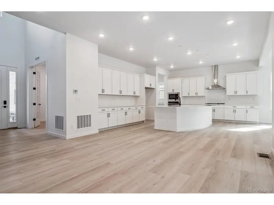 9227 Gold Lace Pl, Highlands Ranch, CO 80129 - #3