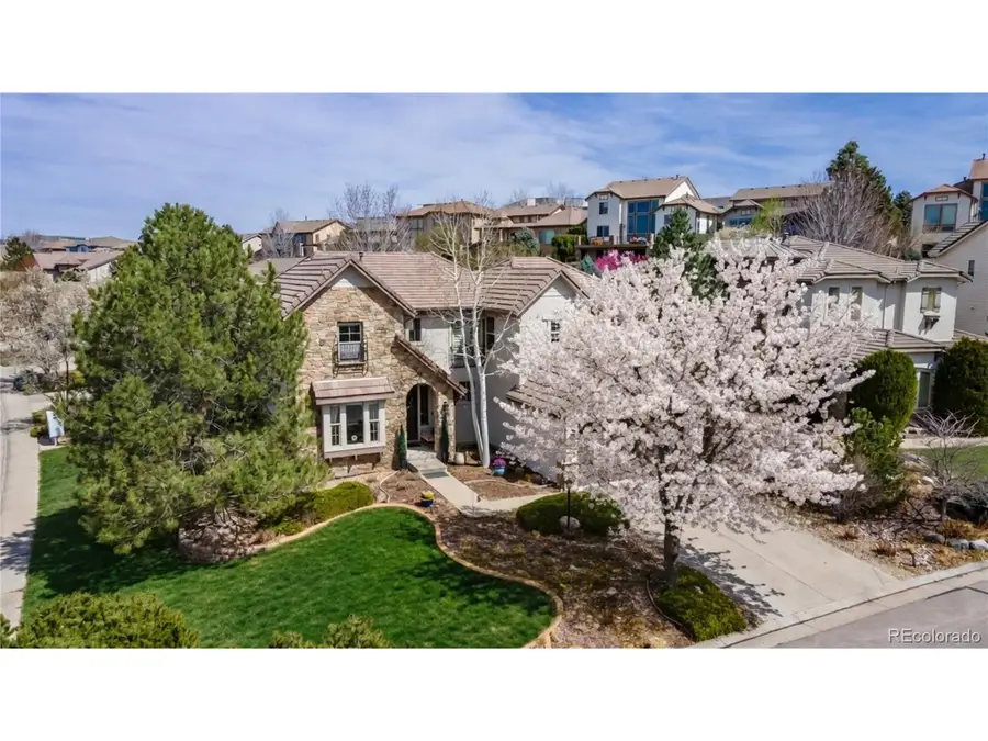 9691 Sunset Hill Pl, Lone Tree, CO 80124 - #2