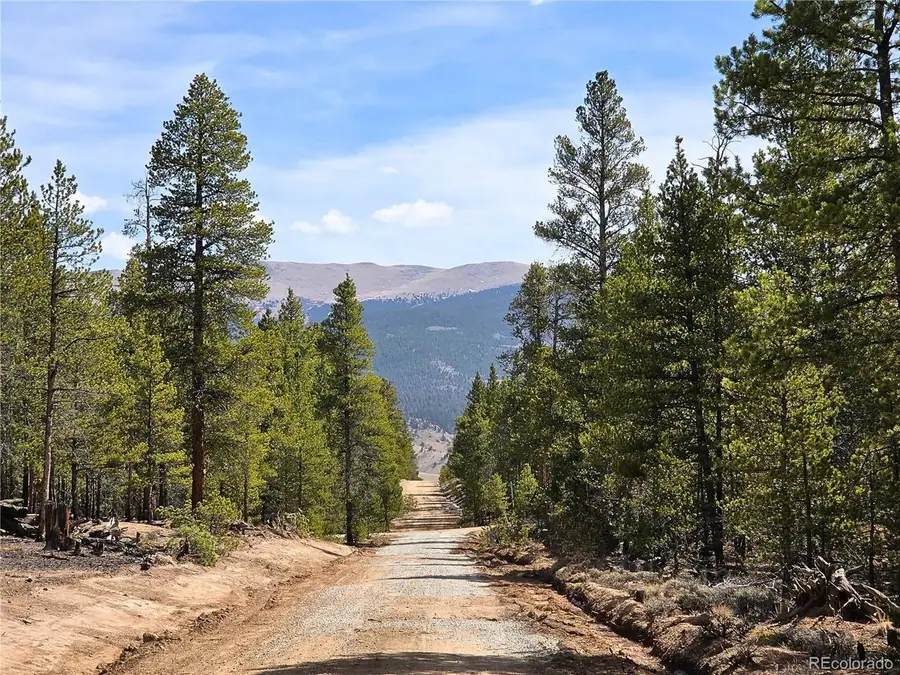 322 Fir Dr, Twin Lakes, CO 81251 - #2