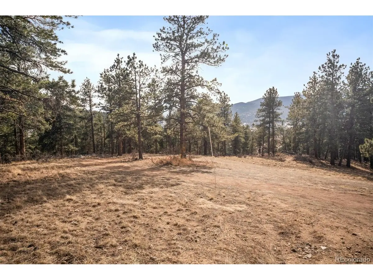 260 Bailey Dr, Bailey, CO 80421 - #1