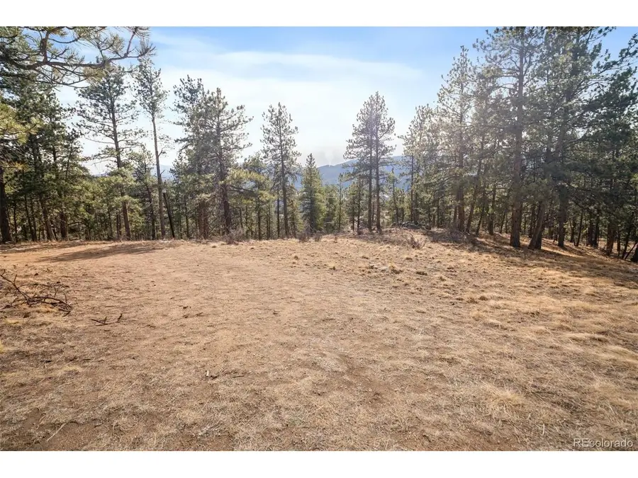 260 Bailey Dr, Bailey, CO 80421 - #2