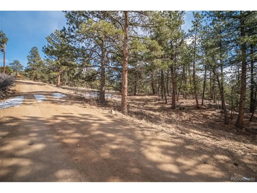 260 Bailey Dr, Bailey, CO 80421 - #3