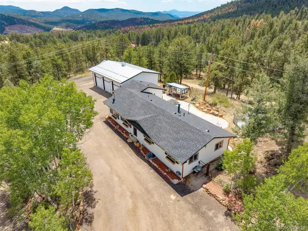 33758 Harmon Rd, Pine, CO 80470