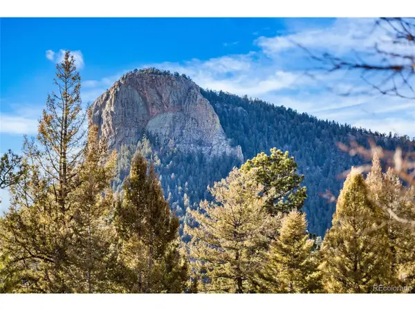 35441 Upper Aspen Ln, Pine, CO 80470