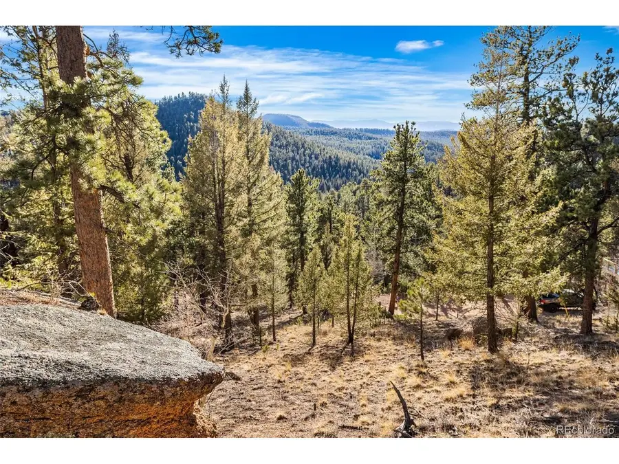 35441 Upper Aspen Ln, Pine, CO 80470 - #3