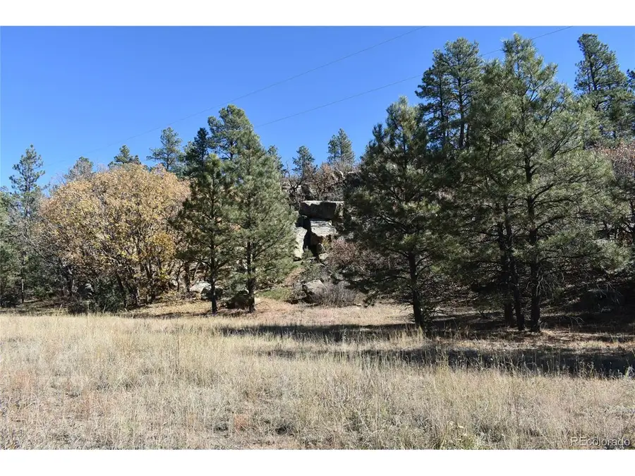 268 Rancho La Garita Filing No-8,, Weston, CO 81091 - #2