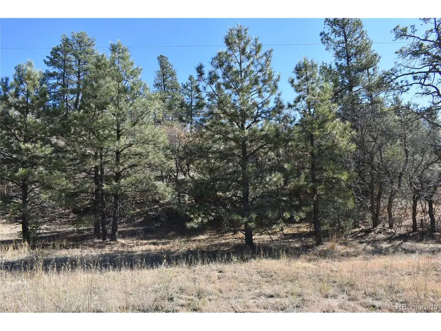 268 Rancho La Garita Filing No-8,, Weston, CO 81091 - #3