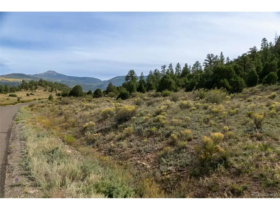 963 Bear Creek Cir, South Fork, CO 81154 - #3