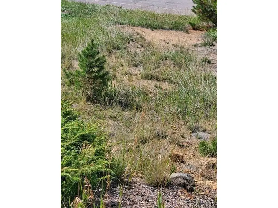 0 Quartz Valley, Central City, CO 80427 - #2