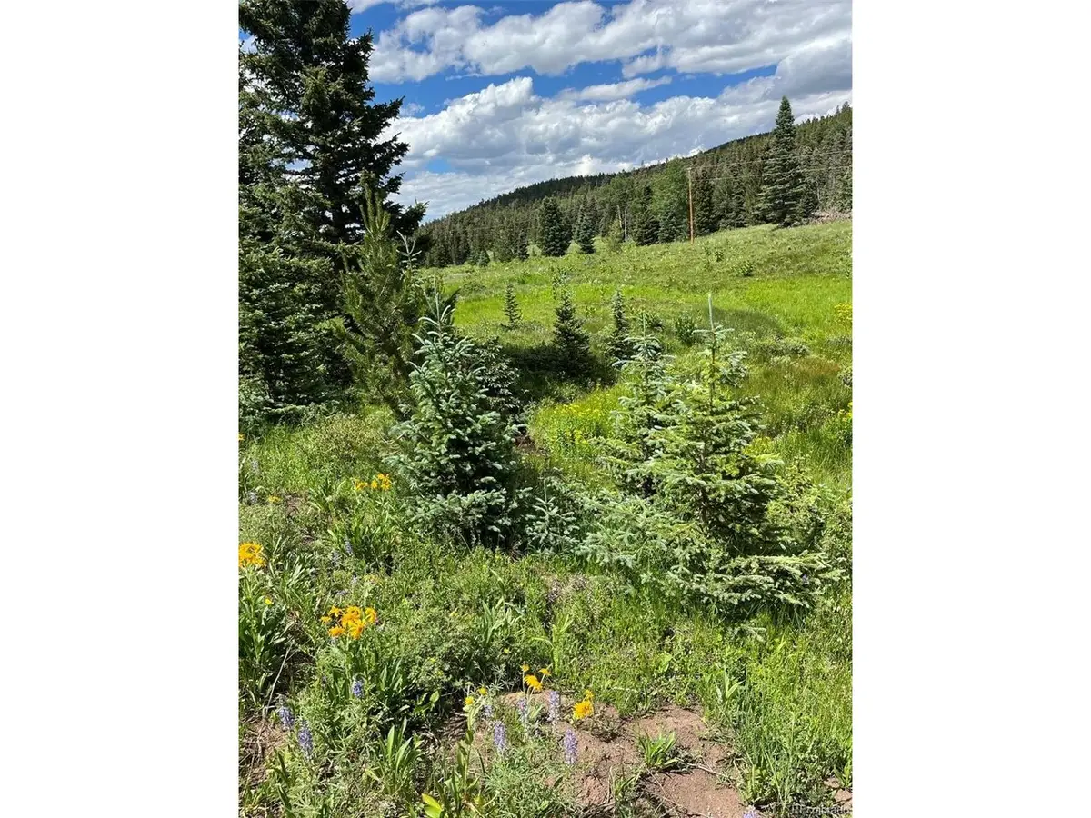 3091 Sterenson Pl, Fort Garland, CO 81133 - #1