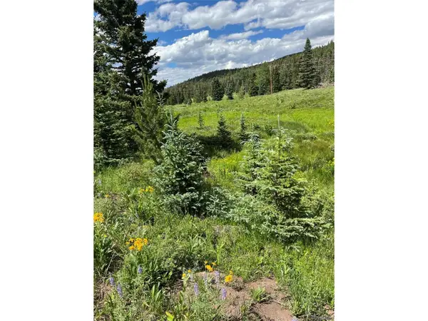 3091 Sterenson Pl, Fort Garland, CO 81133