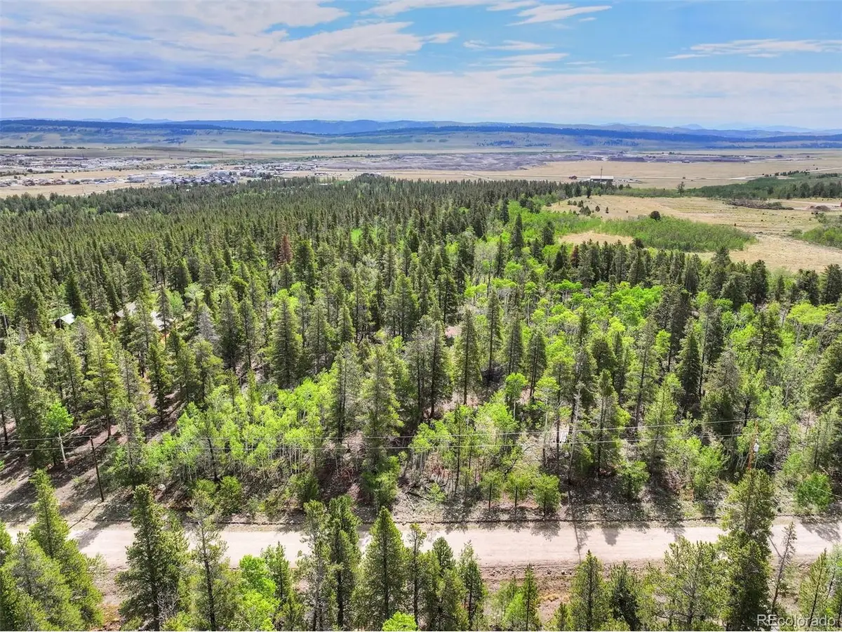 198 Green Bottle Cir, Fairplay, CO 80440 - #1