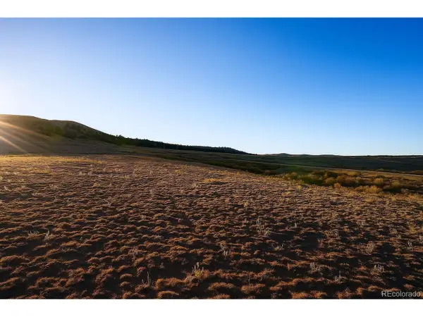 6030 Larimer Rd, Hartsel, CO 80449