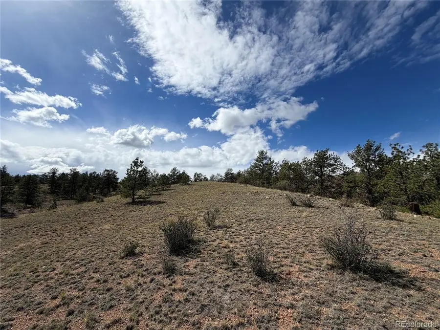 0 Wren Ct, Hartsel, CO 80449 - #3