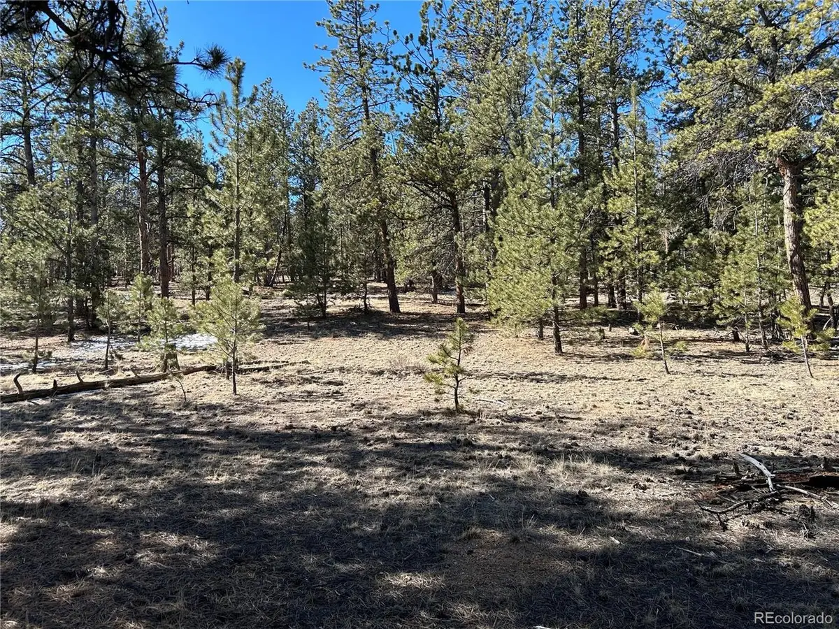 147 Haystack Rd, Hartsel, CO 80449 - #1