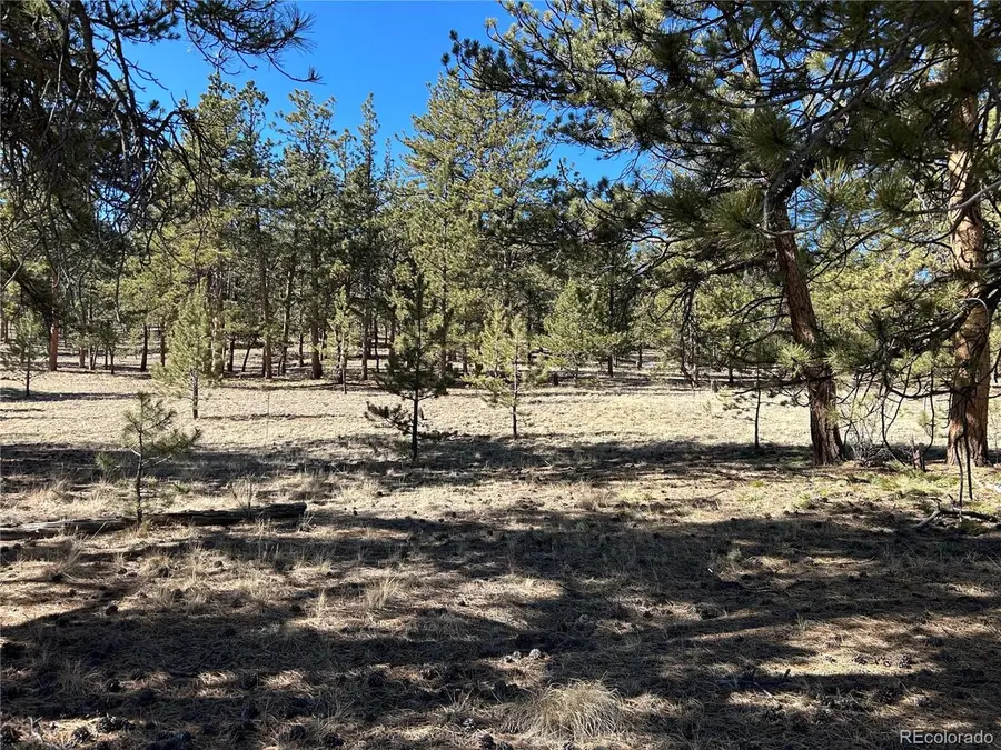 147 Haystack Rd, Hartsel, CO 80449 - #2