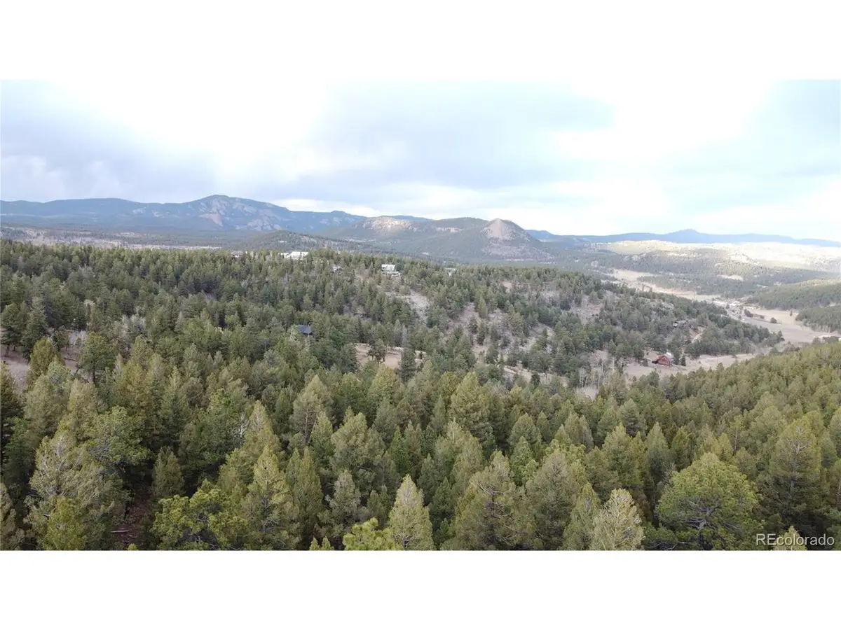 Delwood Dr, Bailey, CO 80421 - #1