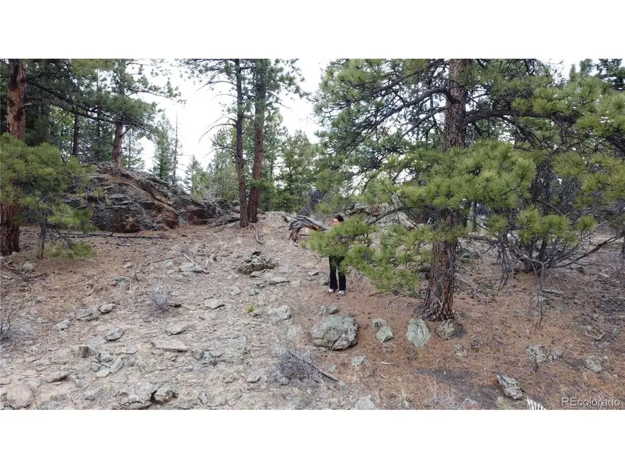 Delwood Dr, Bailey, CO 80421 - #2
