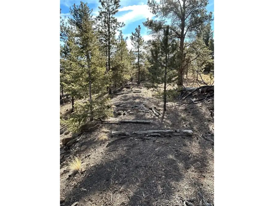 4376 Campfire Rd, Hartsel, CO 80449 - Image #2
