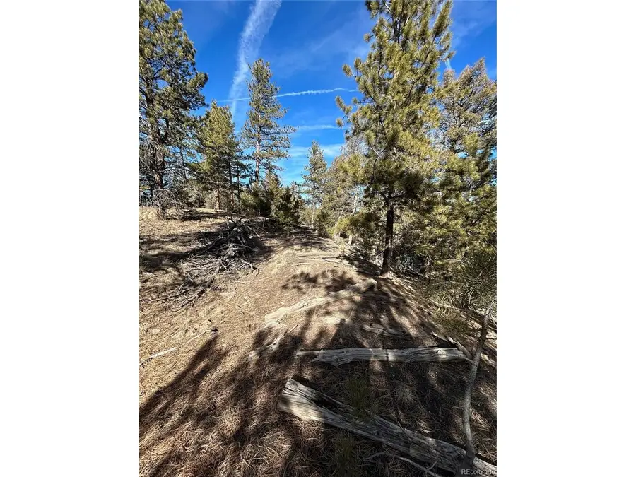 4376 Campfire Rd, Hartsel, CO 80449 - Image #3