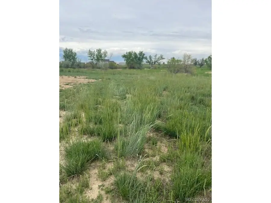 3233 County Road 19, Brighton, CO 80603 - #2