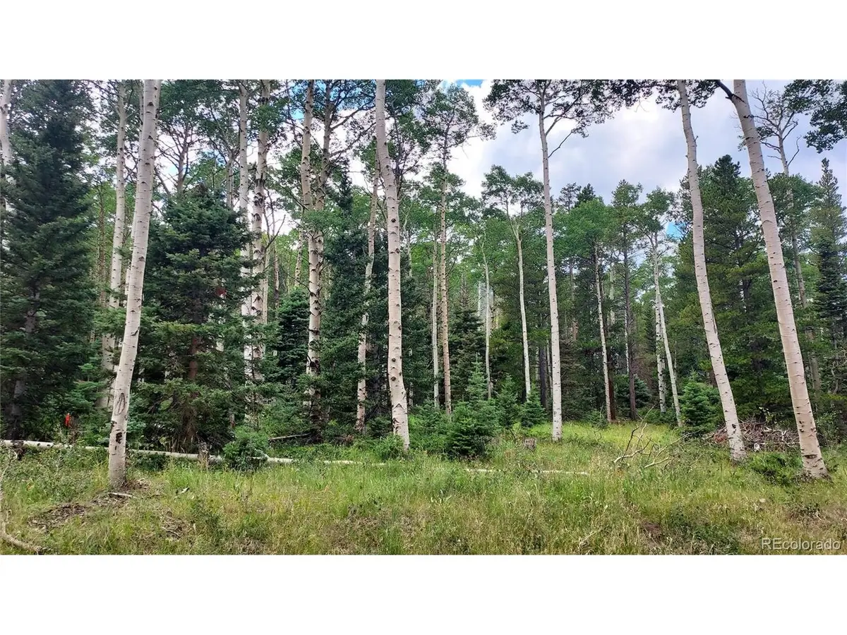 3079 Henderson Dr, Fort Garland, CO 81133 - Image #1