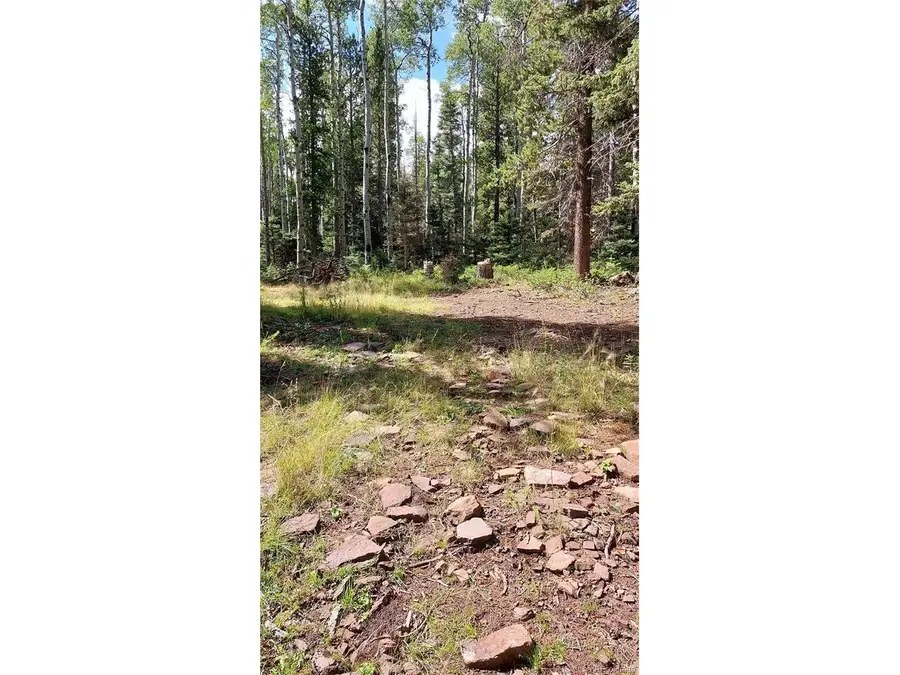 3079 Henderson Dr, Fort Garland, CO 81133 - Image #2