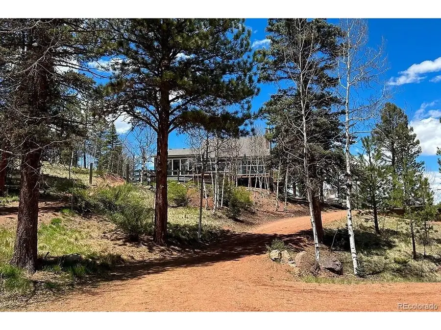 83 Pika Creek Trl, Florissant, CO 80816 - #2