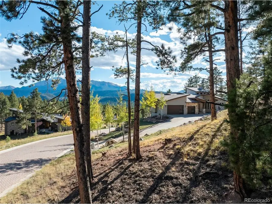 270 Thunder Ridge Dr, Woodland Park, CO 80863 - #3