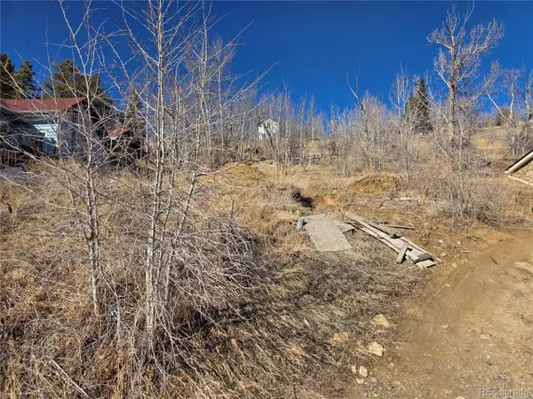 1 E 4th High St, Central City, CO 80427