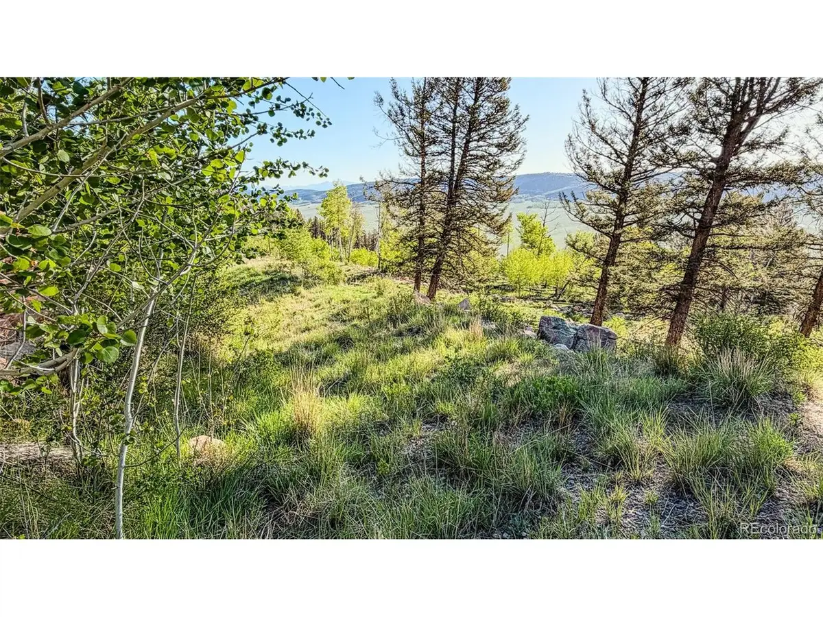 4924 Middle Fork Vis, Fairplay, CO 80440 - #1