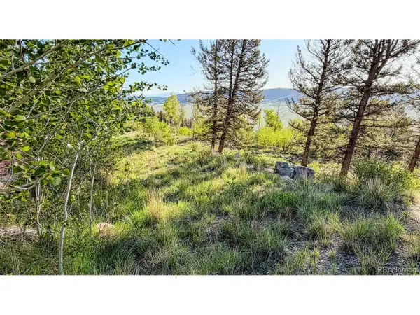 4924 Middle Fork Vis, Fairplay, CO 80440