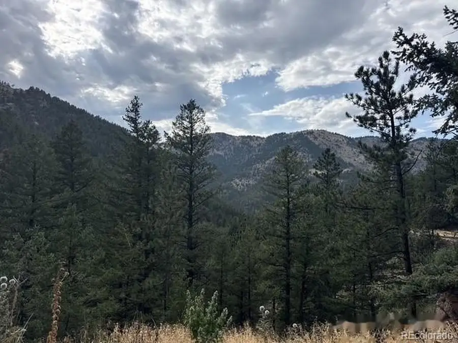 397 Glendale Gulch Rd, Jamestown, CO 80455 - #2