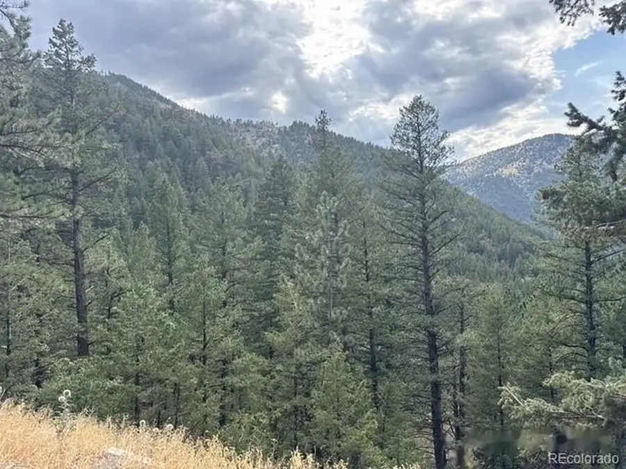 397 Glendale Gulch Rd, Jamestown, CO 80455 - #3