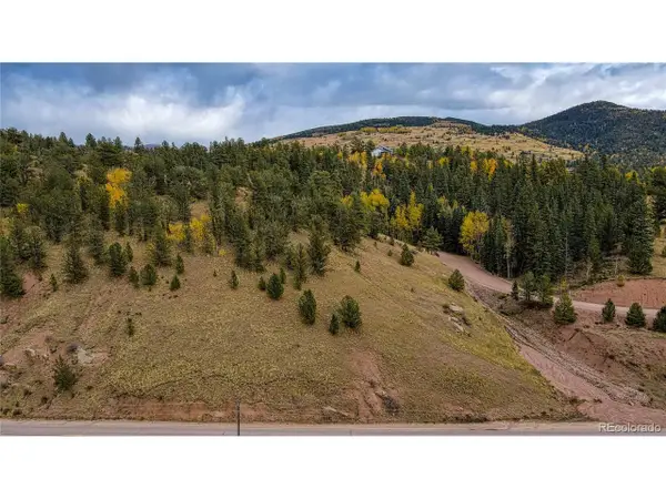 65 Portland Dr, Cripple Creek, CO 80813