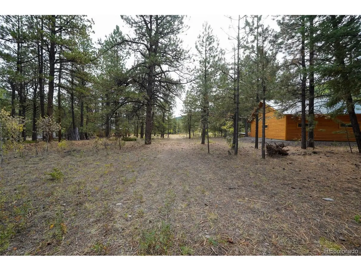 136 Elk Meadow Run, Antonito, CO 81120 - #1