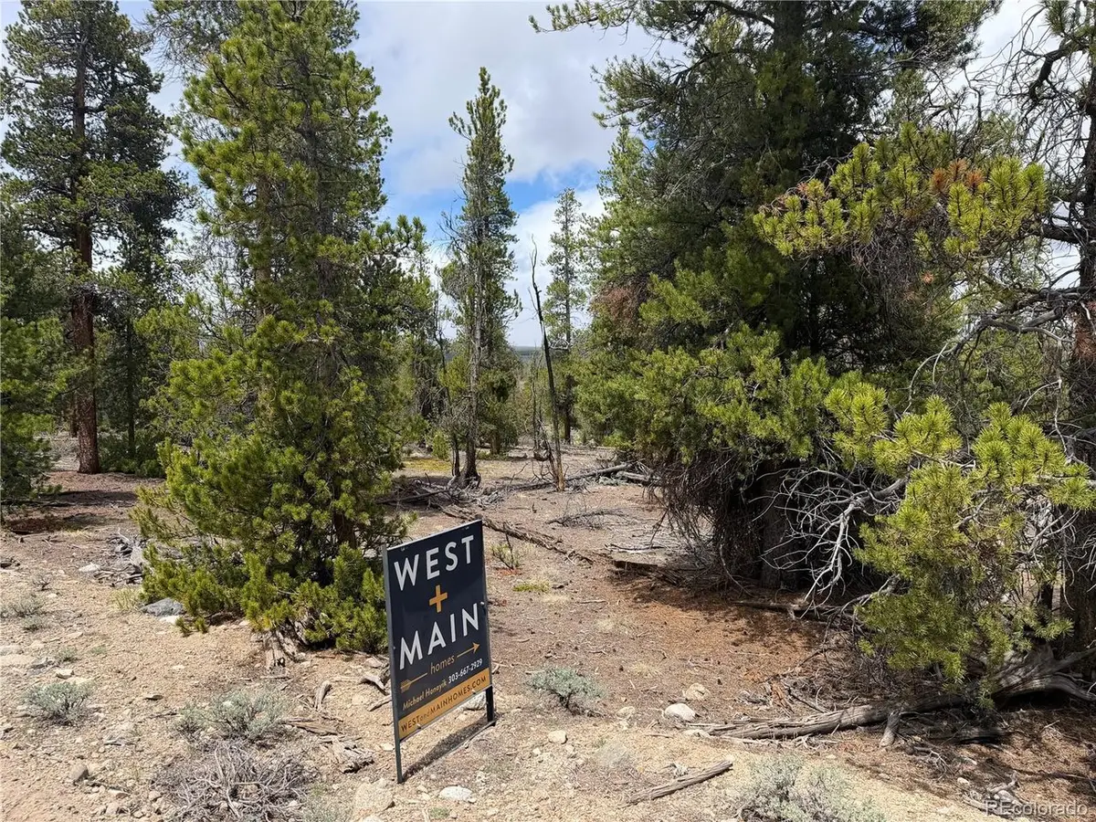 341 Lodgepole Dr, Leadville, CO 80461 - #1