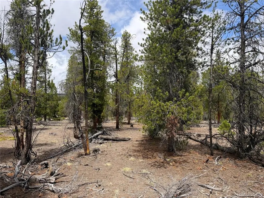 341 Lodgepole Dr, Leadville, CO 80461 - #2