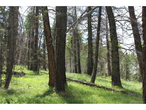 1650 Spruce Rd, Cimarron, CO 81220