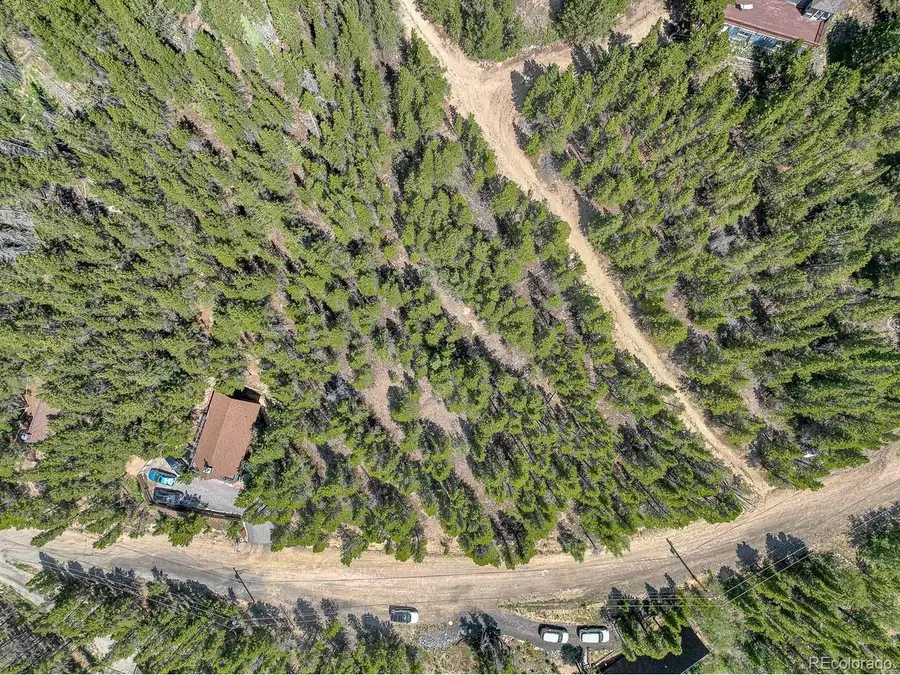 836 Nebraska Dr, Idaho Springs, CO 80452 - #3